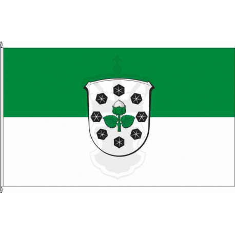 Fahne Flagge FD-Nüsttal