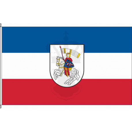 Fahne Flagge GI-Grünberg
