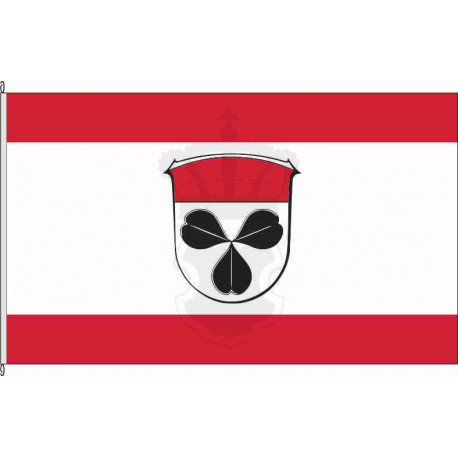 Fahne Flagge GI-Rabenau