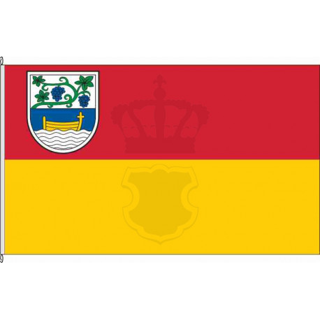 Fahne Flagge COC-Briedern