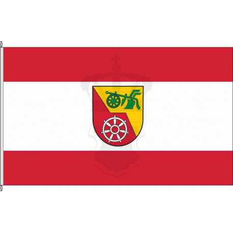 Fahne Flagge COC-Liesenich