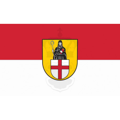 Fahne Flagge COC-Sankt Aldegund