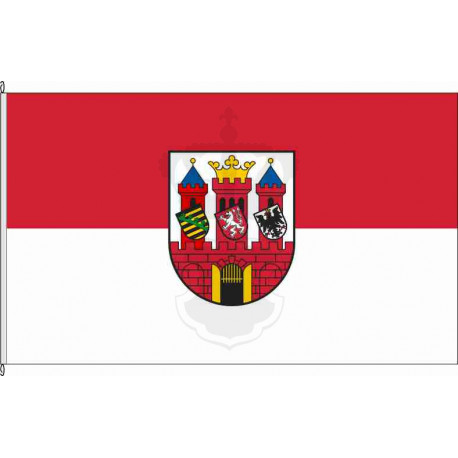 Fahne Flagge SPN-Guben