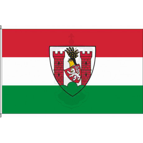 Fahne Flagge SPN-Spremberg