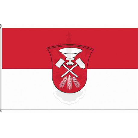 Fahne Flagge SPN-Welzow