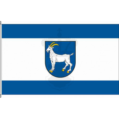 Fahne Flagge KUS-Blaubach