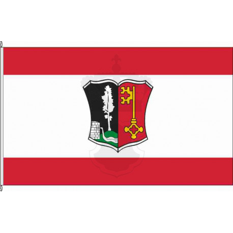 Fahne Flagge SÜW-Böllenborn