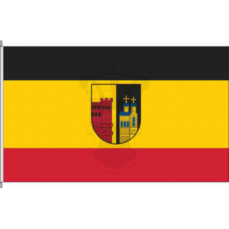 Fahne Flagge SÜW-Annweiler am Trifels