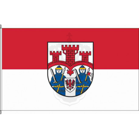 Fahne Flagge MSE-Friedland