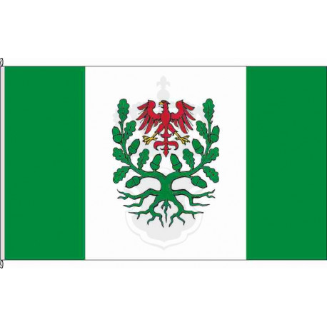 Fahne Flagge MSE-Woldegk