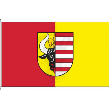 Fahne Flagge MSE-Penzlin