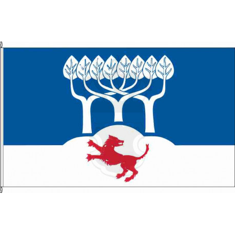 Fahne Flagge NF-Stadum