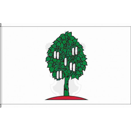 Fahne Flagge LUP-Bresegard bei Picher