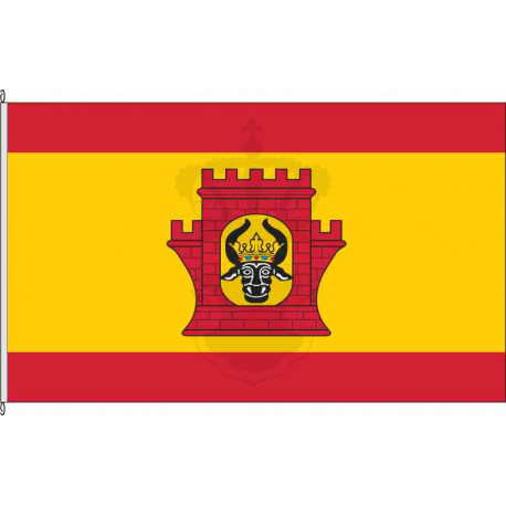 Fahne Flagge LUP-Plau am See