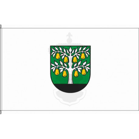 Fahne Flagge EMS-Altendiez