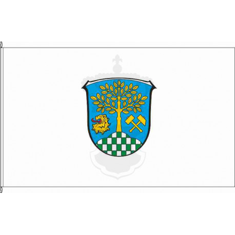 Fahne Flagge EMS-Gemmerich