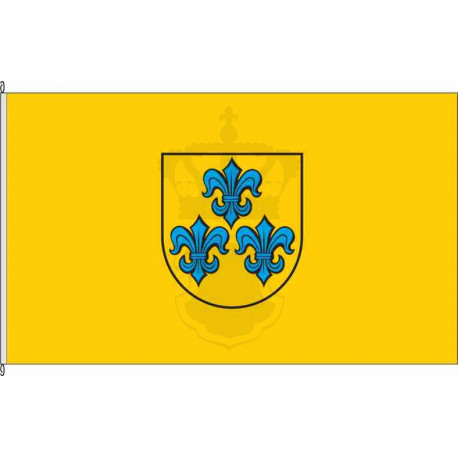 Fahne Flagge EMS-Hahnstätten