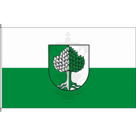 Fahne Flagge EMS-Holzheim