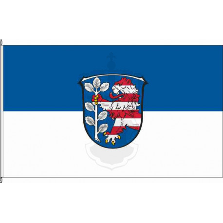 Fahne Flagge EMS-Hainau *