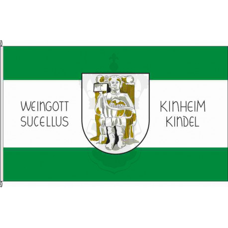 Fahne Flagge WIL-Kinheim