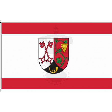 Fahne Flagge WIL-Lieser