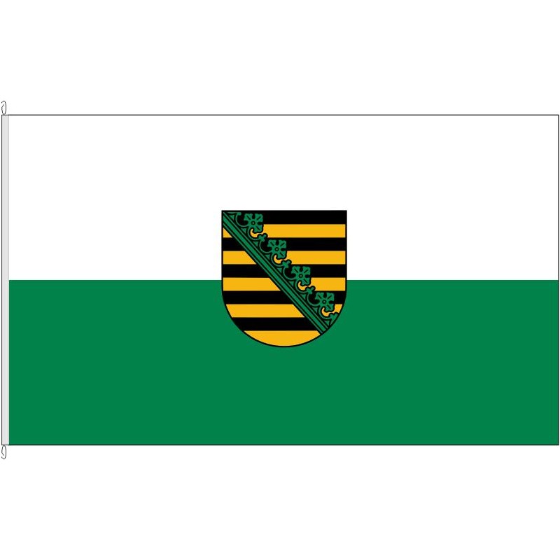 Fahne Flagge Sachsen.