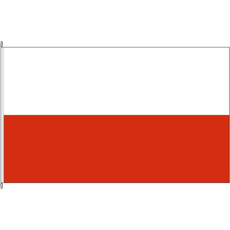Fahne Flagge TH-Landesflagge Thüringen.