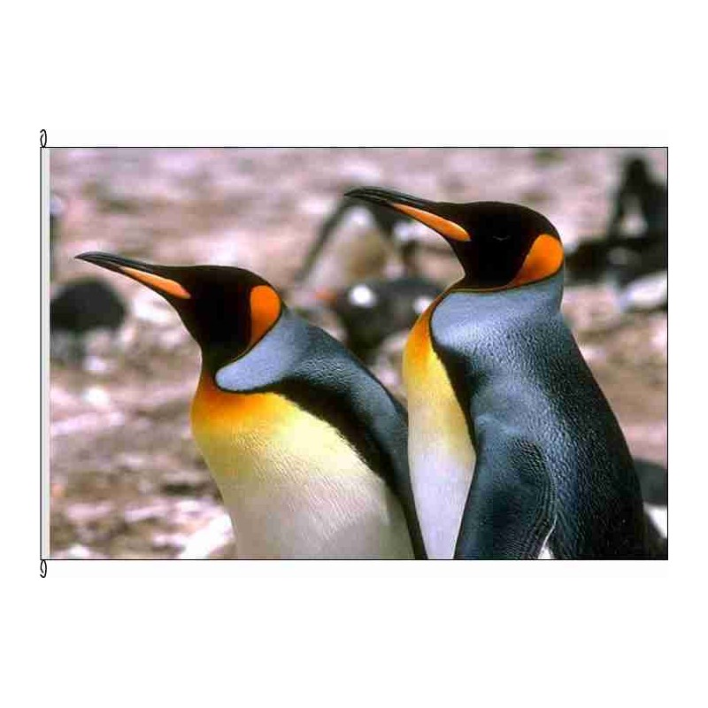 Fahne Flagge So-Pinguine