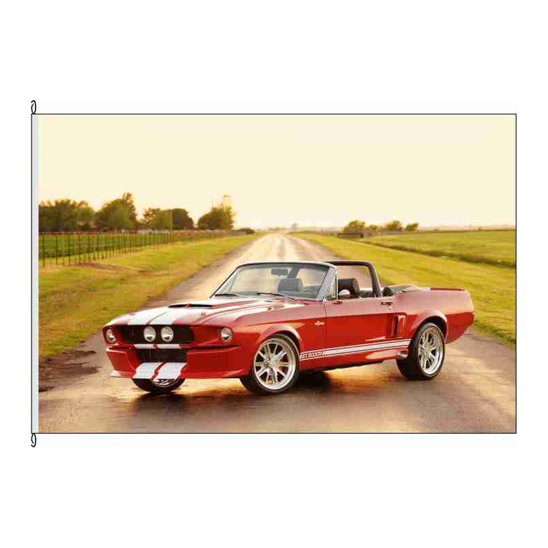 Fahne Flagge So-Ford Mustang 2