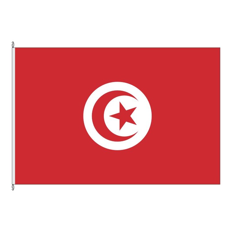 Fahne Flagge TUN-Tunesien