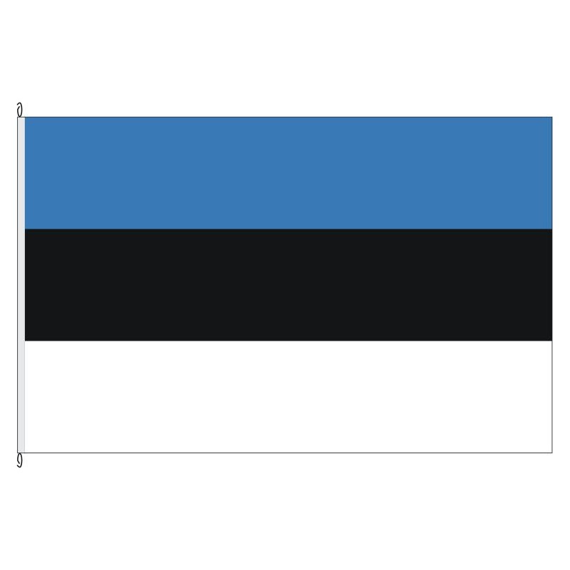 Fahne Flagge EST-Estland