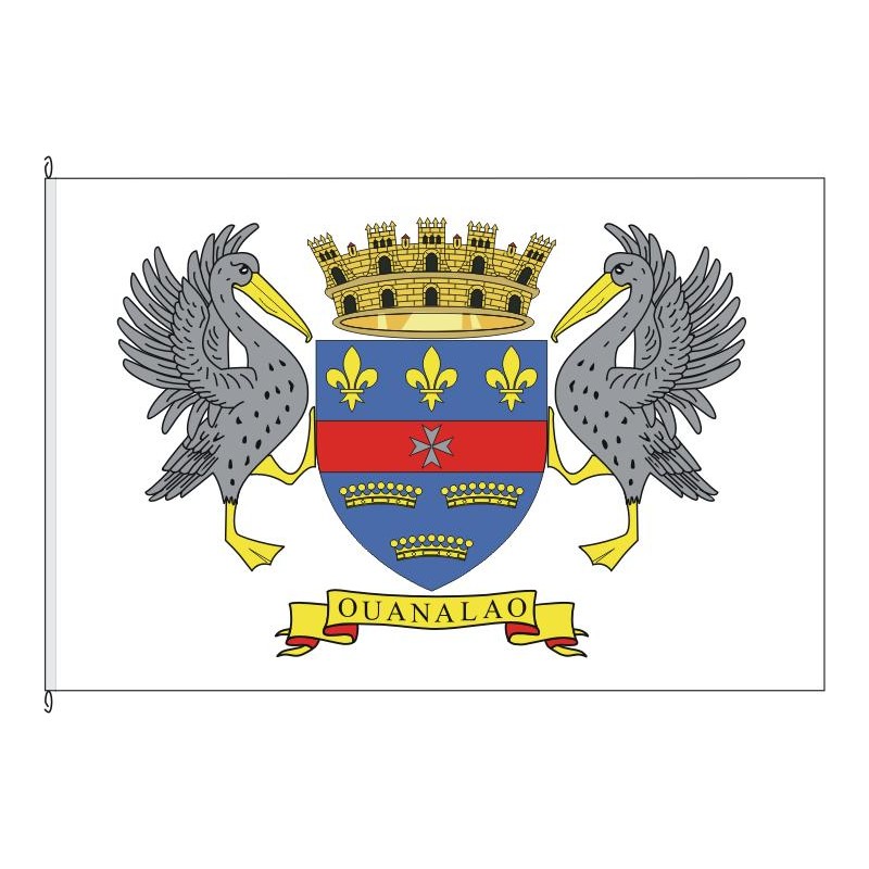 Fahne Flagge BLM-Saint-Barthélemy
