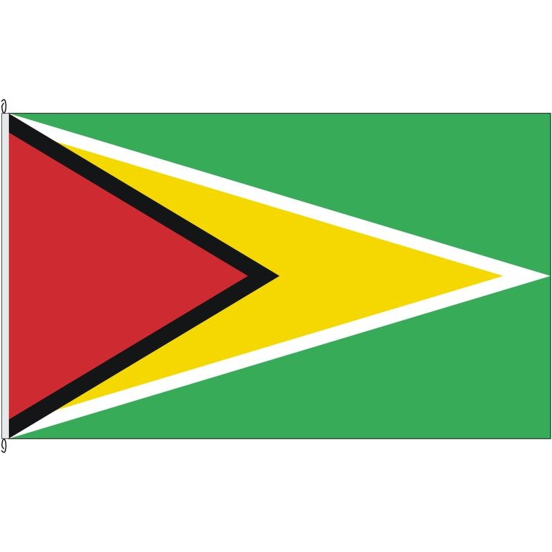 Fahne Flagge GUY-Guyana
