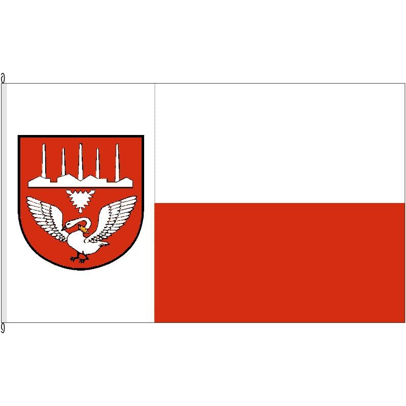 Fahne Flagge NMS-Neumünster