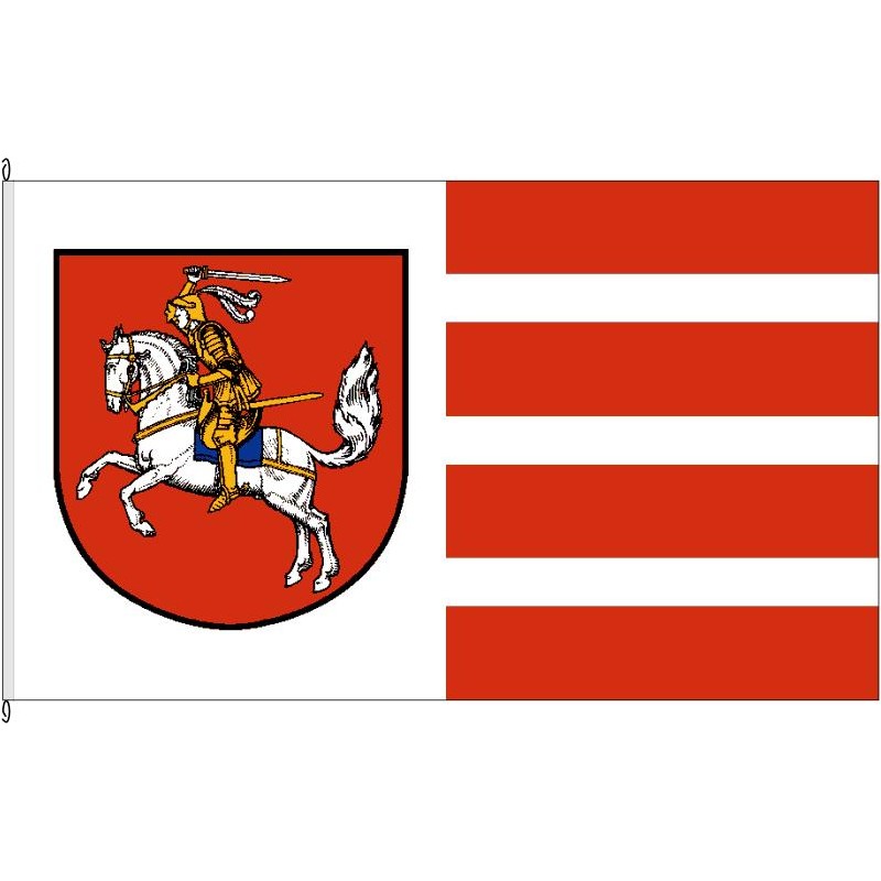 Fahne Flagge HEI-Kreis Dithmarschen