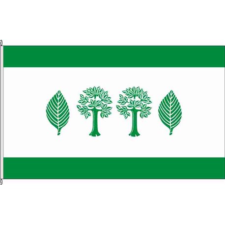 Fahne Flagge HEI-Buchholz