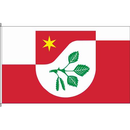 Fahne Flagge HEI-Gudendorf
