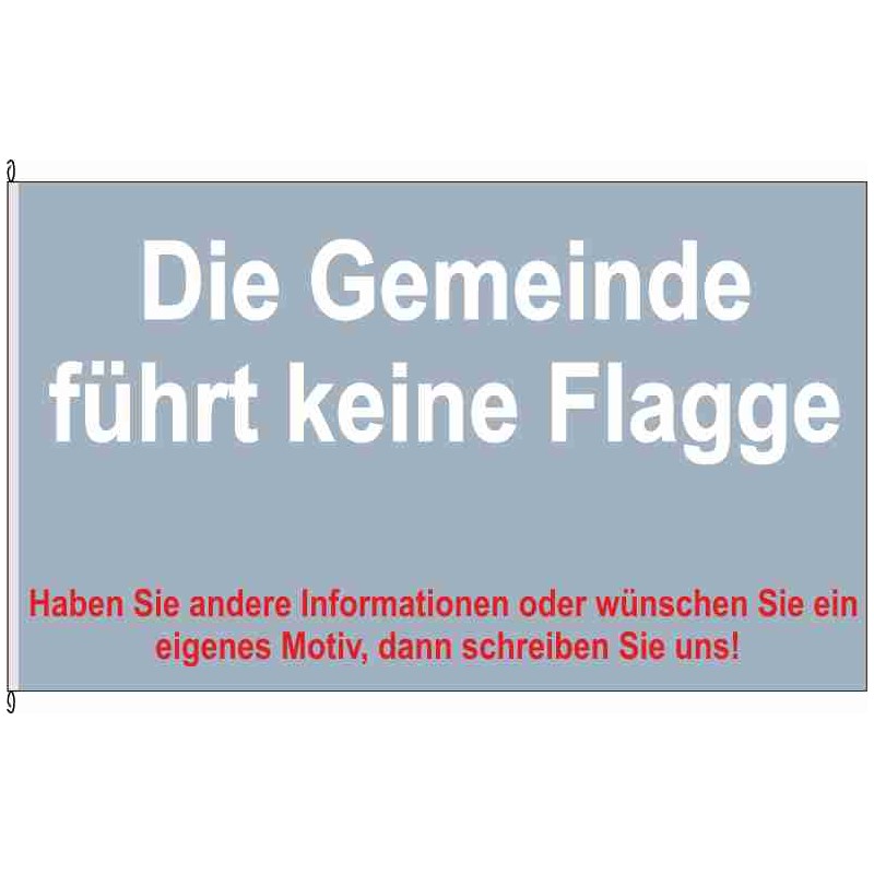 Fahne Flagge HEI-Neufelderkoog