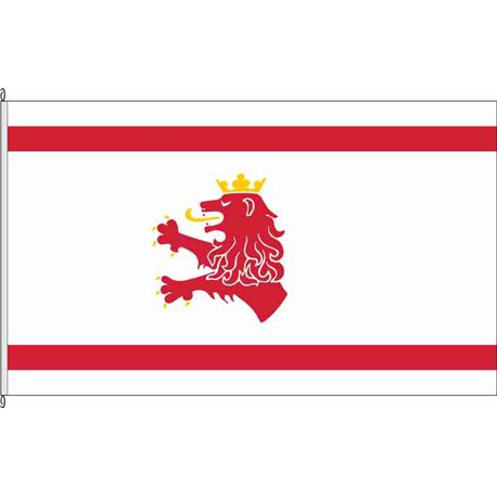 Fahne Flagge RZ-Steinhorst
