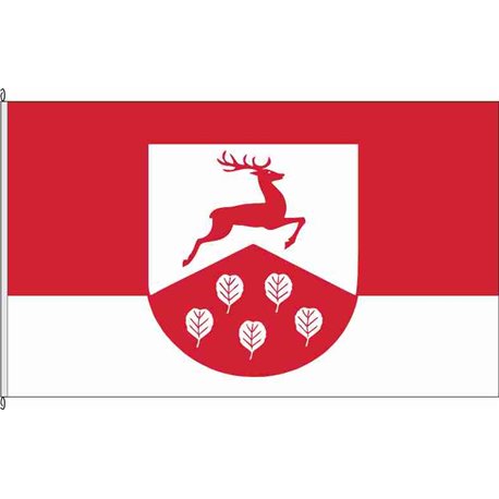 Fahne Flagge RD-Brinjahe
