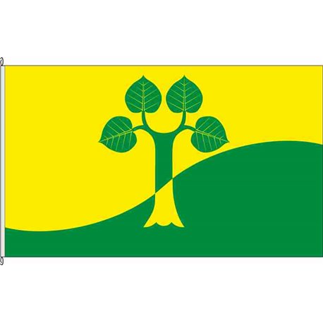 Fahne Flagge RD-Nienborstel