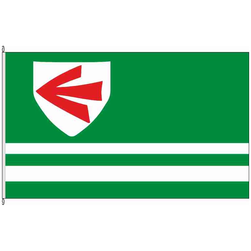 Fahne Flagge SE-Alveslohe