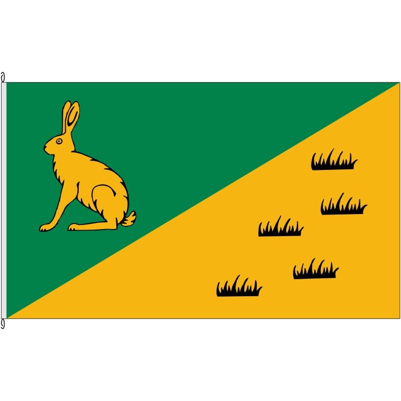 Fahne Flagge SE-Hasenmoor *