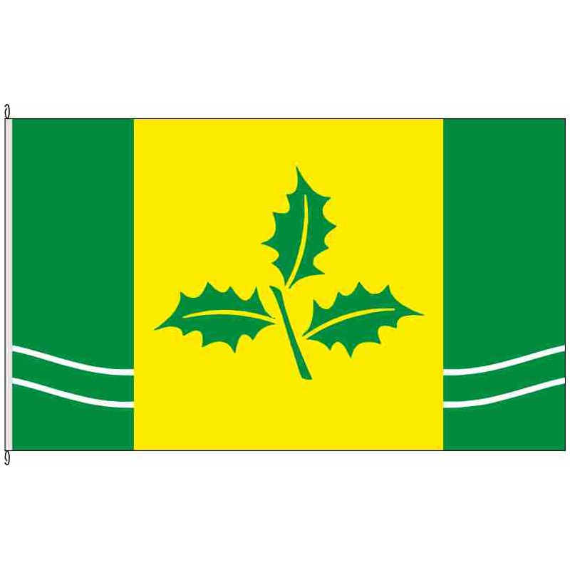 Fahne Flagge SE-Kattendorf