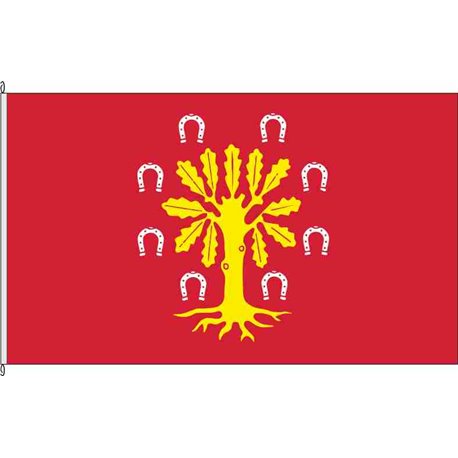 Fahne Flagge SE-Schieren