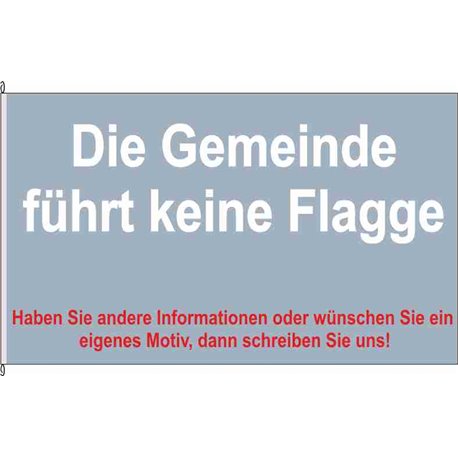 Fahne Flagge IZ-Kollmoor