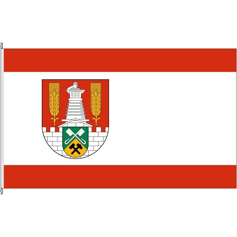Fahne Flagge SZ-Salzgitter