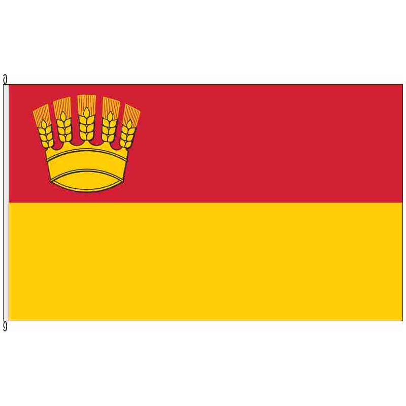 Fahne Flagge SZ-Reppner