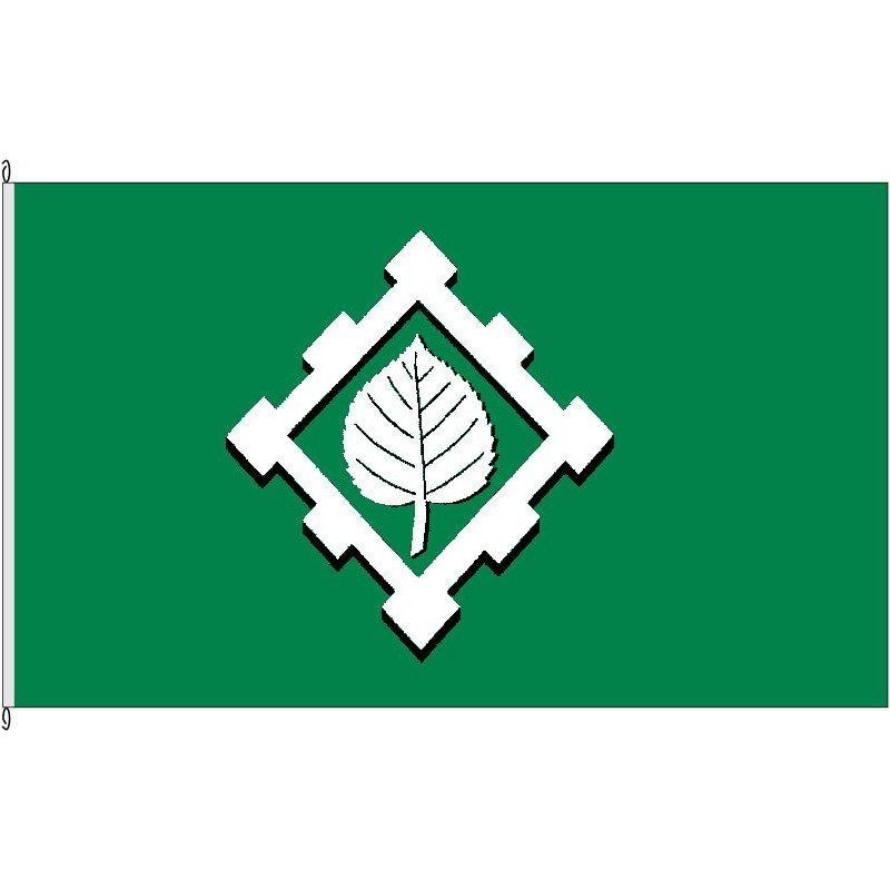 Fahne Flagge SZ-Thiede