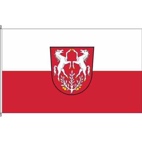 Fahne Flagge GS-Bündheim